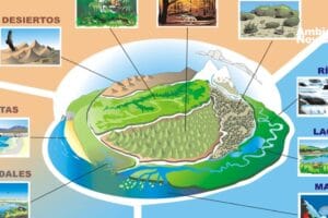 El cambio climático un desafío para la diversidad del planeta