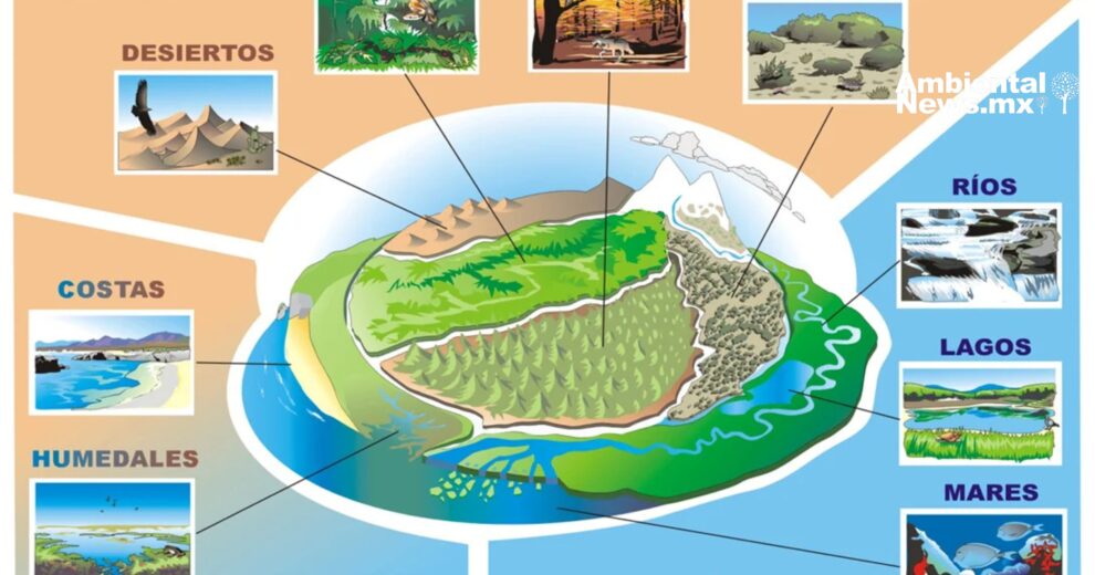 El cambio climático un desafío para la diversidad del planeta