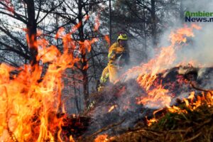 El cambio climático y su impacto desgarrador en los incendios forestales: ¿Estamos preparados para lo peor?
