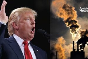 El regreso de Trump y sus efectos sobre el cambio climático y las energías renovables