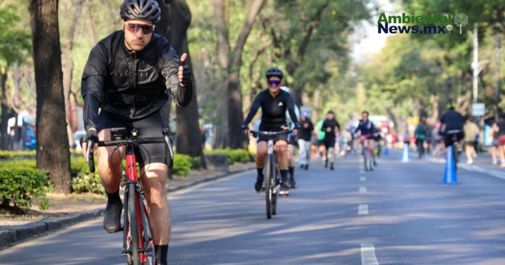 WEB AN Esterilizacion de perros y gatos en la UNAM a precios accesibles 1 3