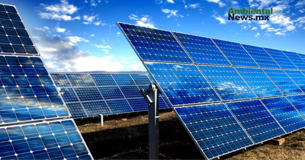 Energía solar: Un paso hacia un futuro sostenible y asequible 11 WEB AN Esterilizacion de perros y gatos en la UNAM a precios accesibles 1 4