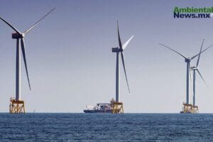 WEB AN Esterilizacion de perros y gatos en la UNAM a precios accesibles 4