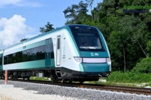 WEB AN Esterilizacion de perros y gatos en la UNAM a precios accesibles 7