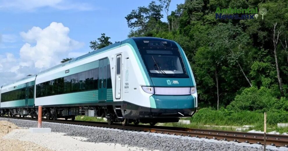 Suspensión definitiva del Tren Maya: La justicia ambiental gana en la Península de Yucatán  11 WEB AN Esterilizacion de perros y gatos en la UNAM a precios accesibles 7