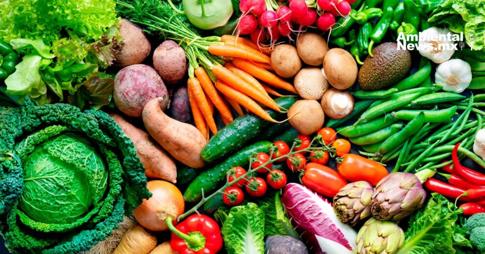 Frutas y verduras del futuro: Soluciones ante el cambio climático 11 Frutas y verduras del futuro: Soluciones ante el cambio climático