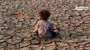 Las seis amenazas que ponen en riesgo al planeta