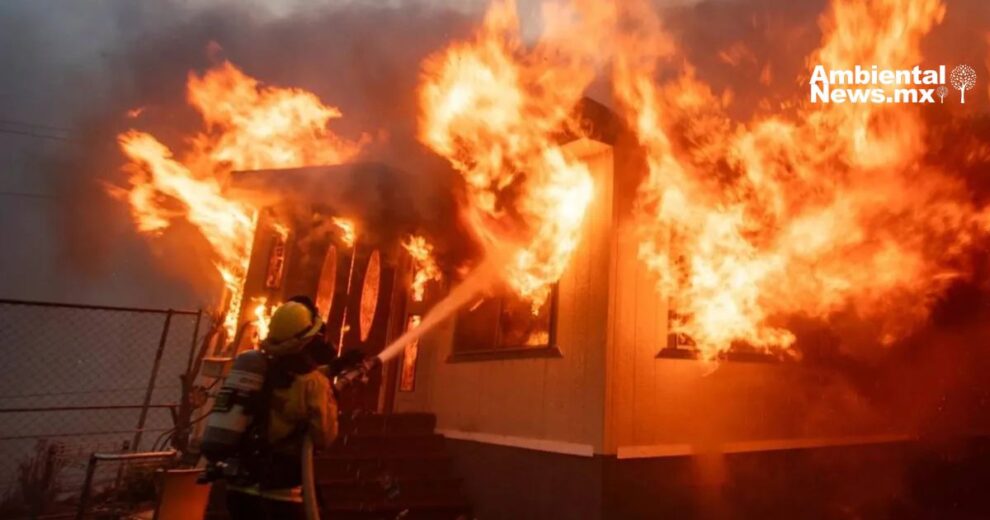 Devastador incendio en los Ángeles: más de 100,000 personas afectadas 11 WEB AN Rescatados del frio y el abandono 24 perritos encuentran una nueva oportunidad de vida
