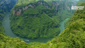 Chiapas: un desafío para preservar el medio ambiente y enfrentar el cambio climático