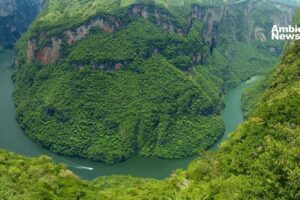 Chiapas: un desafío para preservar el medio ambiente y enfrentar el cambio climático
