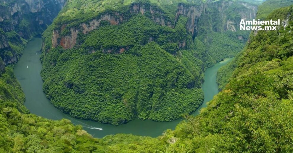 Chiapas: un desafío para preservar el medio ambiente y enfrentar el cambio climático