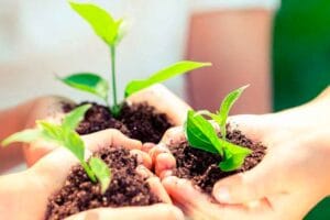 Invertir en el futuro: ganancias y sustentabilidad pueden ir juntas