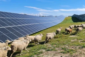 Zelestra y Meta: Acuerdo solar millonario en EE. UU.