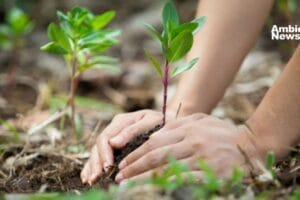Citlalli Rico y su lucha artística por el medio ambiente: "La Mujer Árbol"