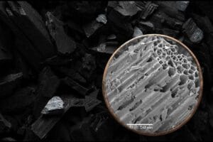 Biocarbón: el nuevo héroe contra el CO2