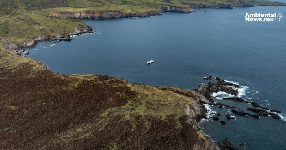 México refuerza la protección marina con la mayor área protegida de América del Norte 11 Futuro brillante Oaxaca impulsa IA y energias limpias 1