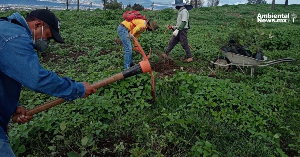 Futuro brillante Oaxaca impulsa IA y energias limpias 2