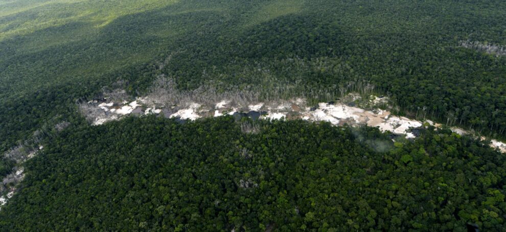 Aumento del 35% en la deforestación de Colombia durante 2024 pone en alerta a ambientalistas 11 Aumento del 35% en la deforestación de Colombia durante 2024 pone en alerta a ambientalistas