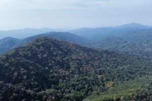 Colima destaca en calidad de vida y medio ambiente en el IMCO