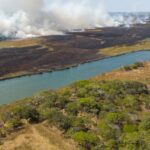 Incendios forestales: Amenazas en el ciclo del agua y la biodiversidad