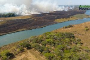 Incendios forestales: Amenazas en el ciclo del agua y la biodiversidad