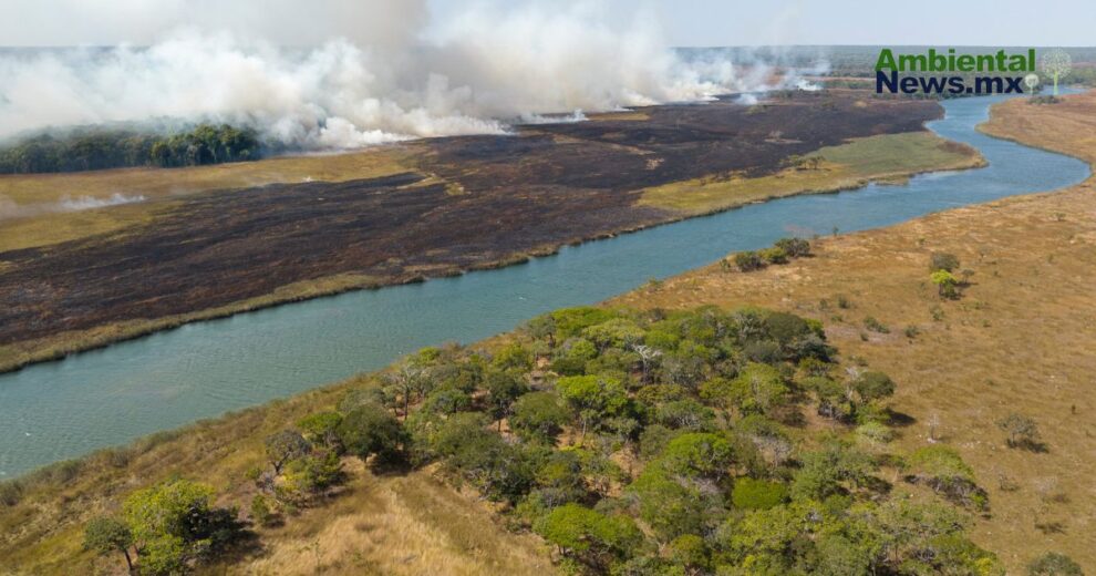 Incendios forestales: Amenazas en el ciclo del agua y la biodiversidad