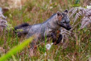 WEB AN Contaminacion atmosferica causa enfermedades mortiferas 1 2