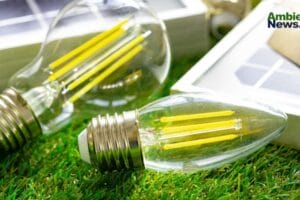 Día Mundial de la Energía: Un llamado a la conciencia y el uso sostenible