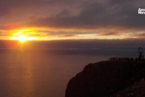 WEB AN Esterilizacion de perros y gatos en la UNAM a precios accesibles 1 2