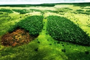 ¿Te gustó nuestra nota? ¡Contáctanos y deja tu comentario! AQUÍ Conoce nuestra red ANCOP Network AQUÍ