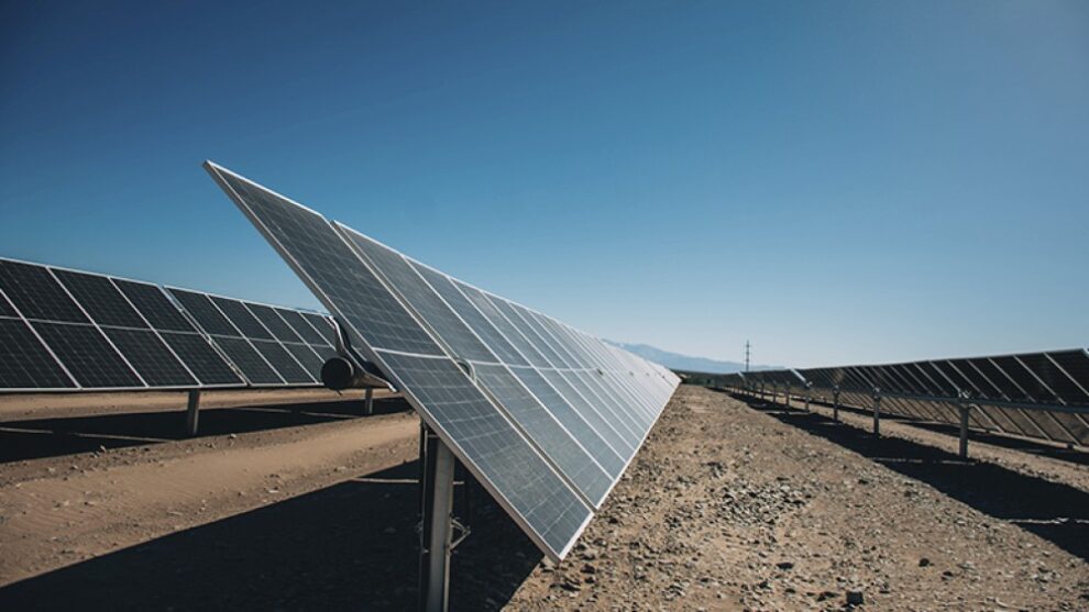 Tamaulipas se posiciona como líder en energías limpias y biocombustibles