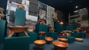 Explora las 6 Salas del Museo Joaquín Arcadio Pagaza y vive el cuidado del medio ambiente