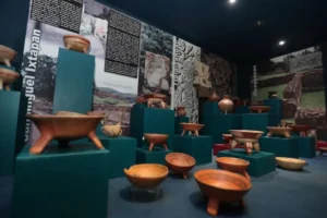 Explora las 6 Salas del Museo Joaquín Arcadio Pagaza y vive el cuidado del medio ambiente