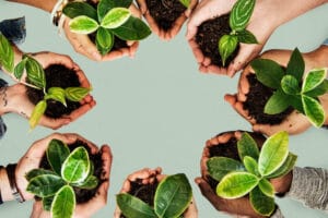 como cuidar el medio ambiente 1