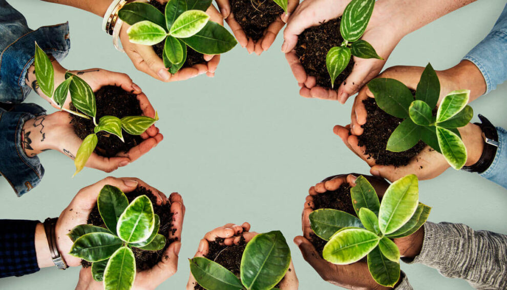 Nueva alianza entre la Marina de México y Sea Shepherd busca frenar la pesca ilegal 11 como cuidar el medio ambiente 1