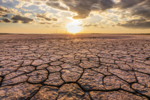 Tabasco apuesta por la restauración para enfrentar el cambio climático