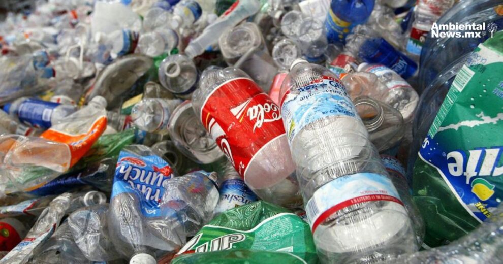 Impuestos verdes al alza: España paga el precio de un futuro más sostenible