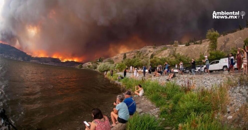 Incendios Forestales, problema ambiental que podemos prevenir 11 incendios