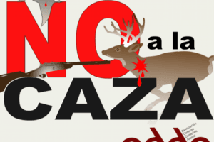 Cazadores furtivos expulsados del Bosque de Agua