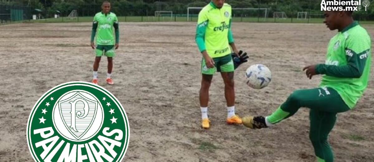 Palmeiras impulsa la Copa Xingu para concienciar sobre la deforestación en Brasil