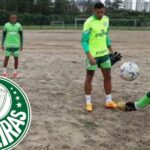 Palmeiras impulsa la Copa Xingu para concienciar sobre la deforestación en Brasil