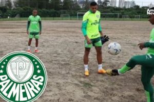 Palmeiras impulsa la Copa Xingu para concienciar sobre la deforestación en Brasil