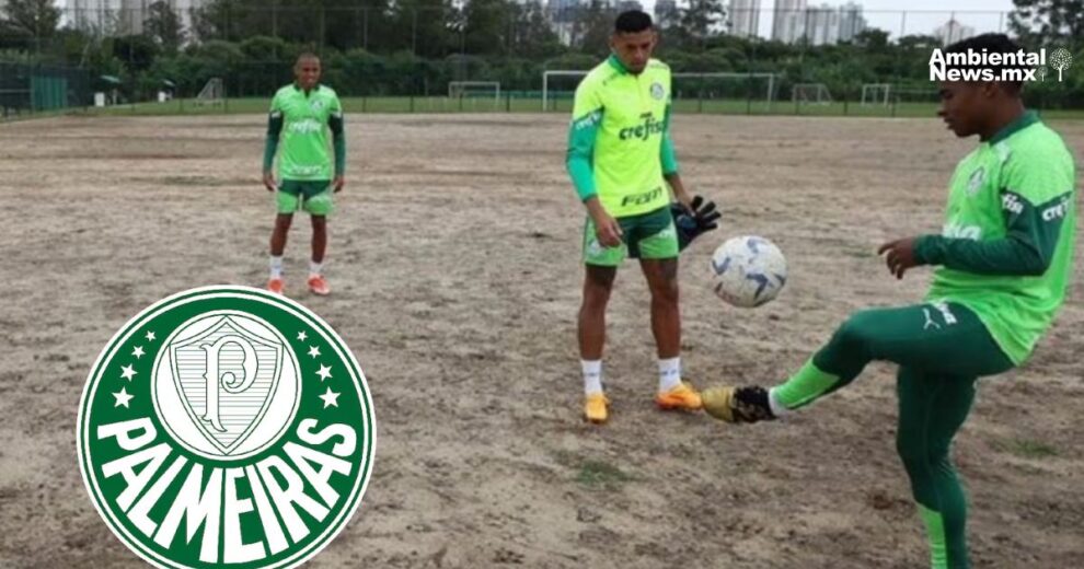 Palmeiras impulsa la Copa Xingu para concienciar sobre la deforestación en Brasil