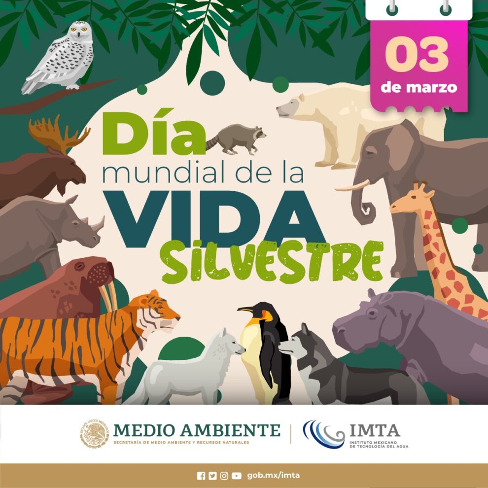 ¡Día Mundial de la Vida Silvestre es conmemorado en la UAMI! 11 ¡Día Mundial de la Vida Silvestre es conmemorado en la UAMI!