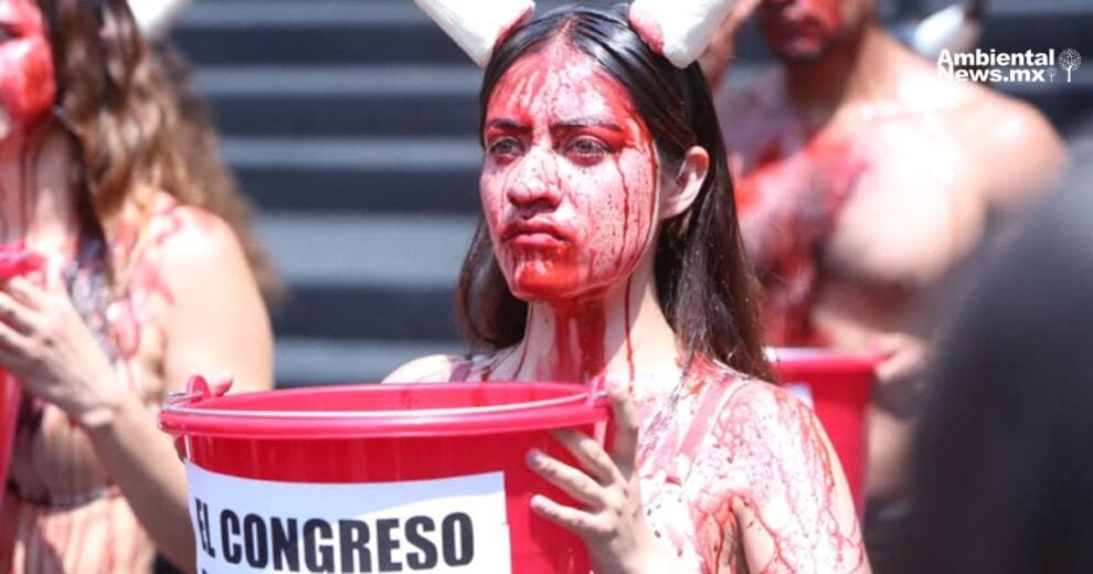 ¡La tauromaquia no es cultura, es crueldad! Activistas protestan en el Congreso 11 07032025 1