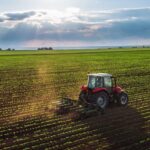 Un reconocimiento al trabajo de las personas que cultivan la tierra