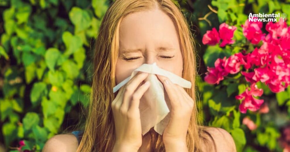El cambio climático adelanta y agrava las alergias al polen 7 AN WEB 303032025