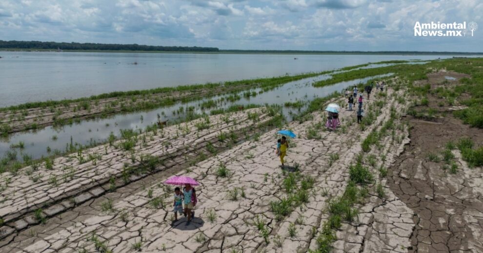 Cambio climático intensifica diversos fenómenos ambientales  11 Cambio climático intensifica diversos fenómenos ambientales