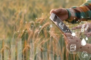 Arroz Jaspe Flar: un futuro sostenible para la agricultura 14 Arroz Jaspe Flar: un futuro sostenible para la agricultura