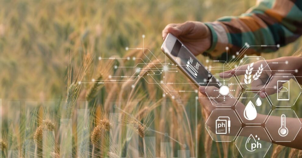 Arroz Jaspe Flar: un futuro sostenible para la agricultura 11 Arroz Jaspe Flar: un futuro sostenible para la agricultura